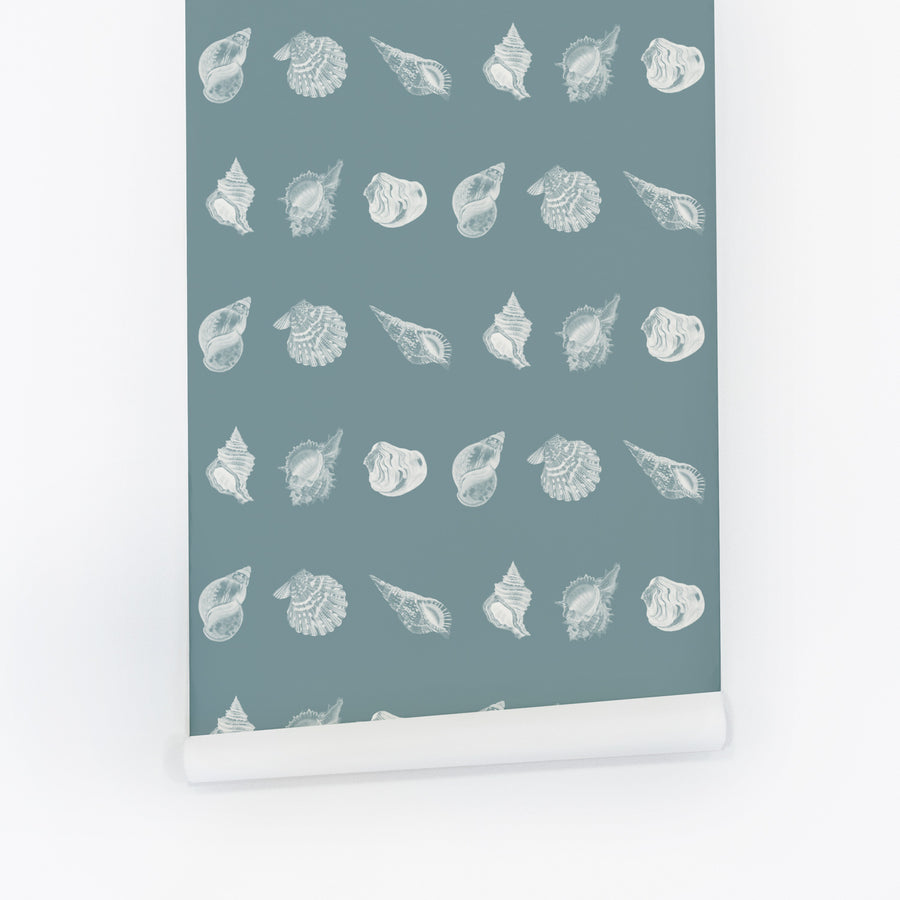 white and blue wallpaper with little seashells