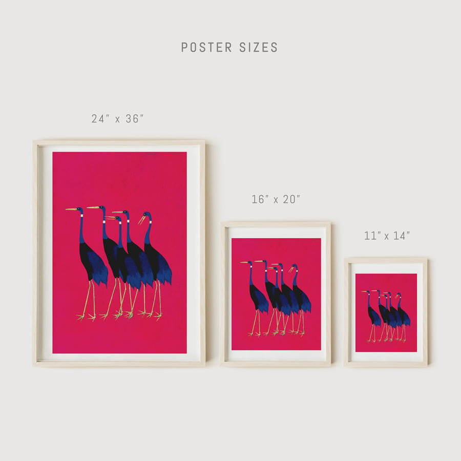 Eclectic birds print size chart