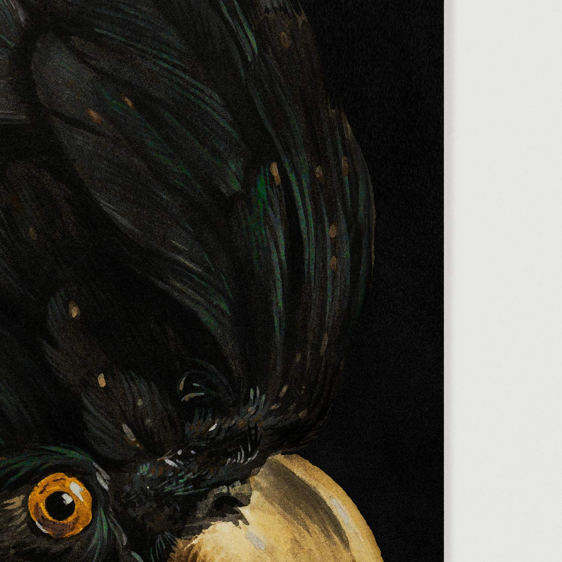 Detailed painting of a black cockatoo