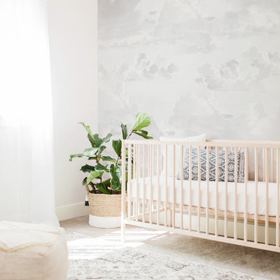 Dreamy Vintage Clouds Wall Mural