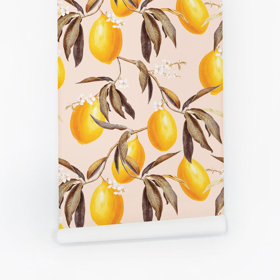 Blush pink and yellow lemons removable wallpaper for baby girl nursery interior