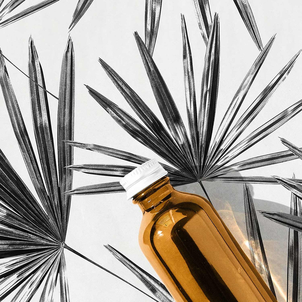 Tropical removable wallpaper in black and white colors | Livettes Wallpaper