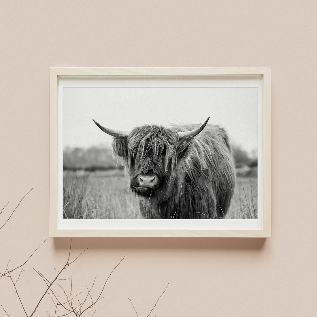 Bison photography poster