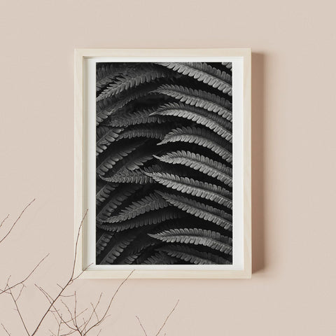 Poster felce in bianco e nero