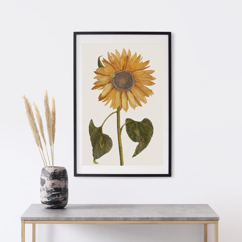 Stampa artistica Girasole