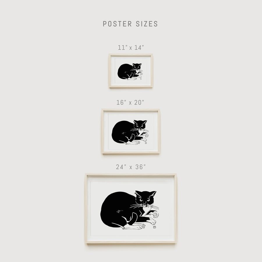 Cat wall poster