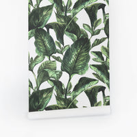 Watercolor botanical removable wallpaper with green leaves and white background