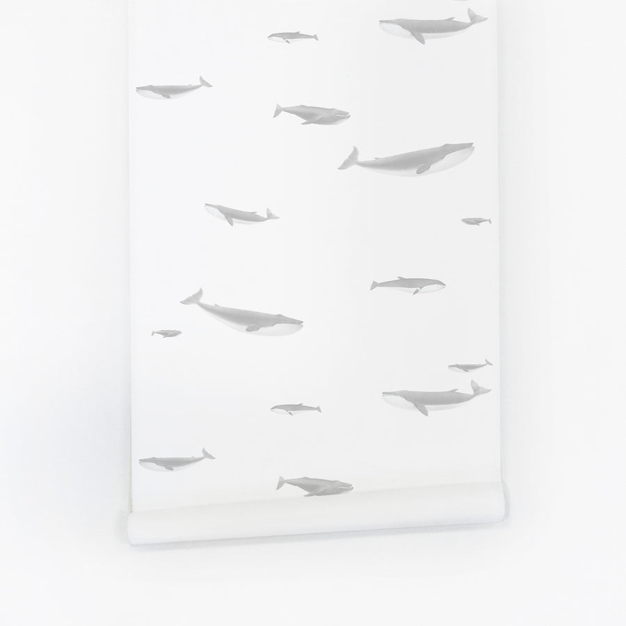 whale pattern wallpaper in grey for nautical style kids bedroom