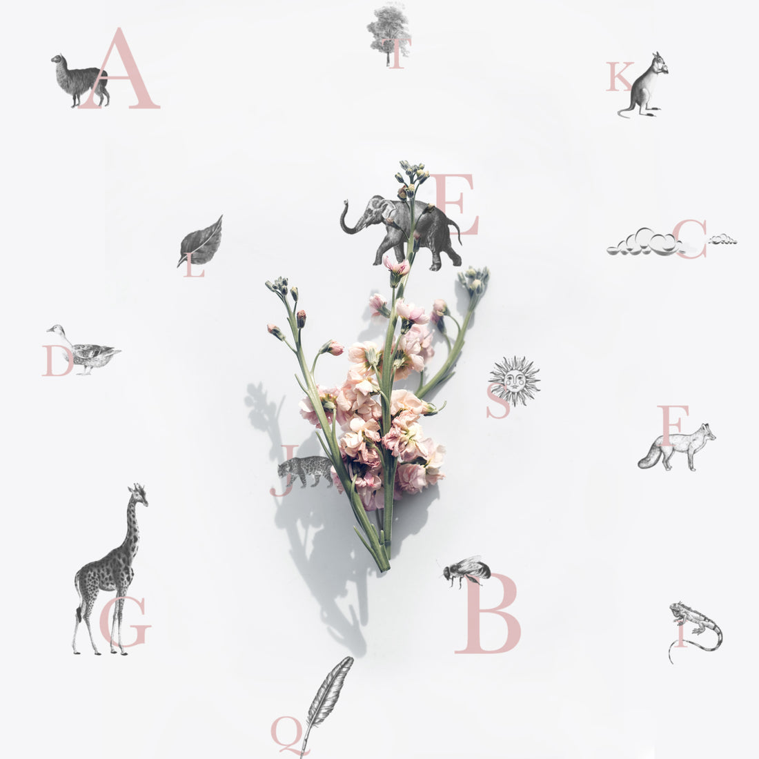 abc letters design peel and stick wallpaper for kids bedroom